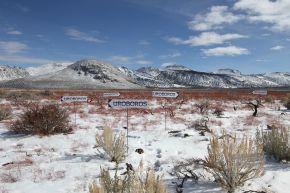 03 - UROBOROS- CALIFORNIE - DOUBLE BIND - PALO ALTO - 2016-min