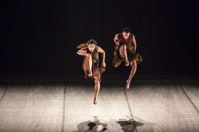 1181.lecantique-lagraa.da 