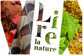 Capture decran 2016-12-21 a 15.39.47 copie