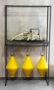 Beauty 1.7th Natasha Lacroix et Joris Henné 2017 Natasha Lacroix et Joris Henné