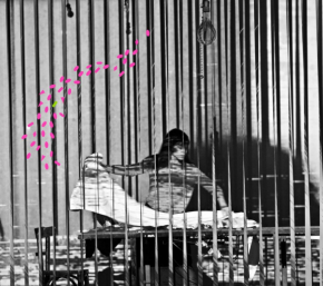 Capture decran 2017-01-13 a 15.45.15 copie