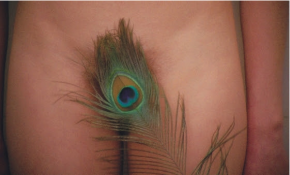 Capture decran 2017-01-24 a 16.19.04 copie