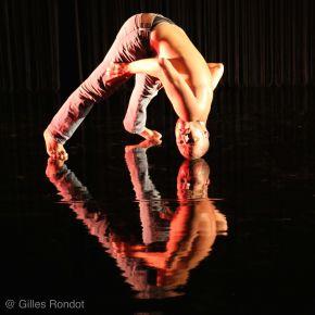 reversible 3copygillesrondot bd