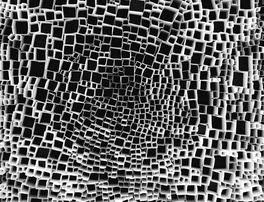 unnamed-3 copie copie