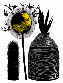 Capture decran 2017-02-06 a 12.53.46