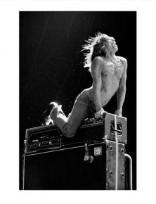 Iggy Pop  Dave Hingerty