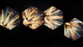 TreeOfCodes carousel JoelChesterFildes production 4