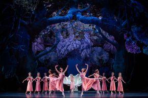 Agathe Poupeney   Opera national de Paris-Le-Songe-d-une-nuit-d-ete--Agathe-Poupeney---OnP-254-800