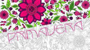 520x520 1e1efd4e259b7e4f5421147377245fb803bc948c copie