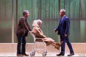 VOTRE_MAMAN_photo_fauteuil_Libre_de_drpoits_cCh.Vootz