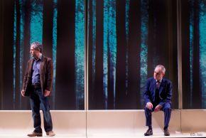 VOTRE MAMAN photo foret Libre de drpoits cCh.Vootz