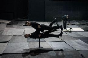 the great tamer 3  c  julian mommert