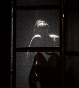 nature morte dans un fossé