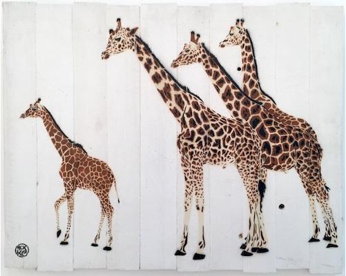mosko girafe exposition gca gallery artistik rezo paris