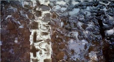 Paname au ras des Pâquerettes