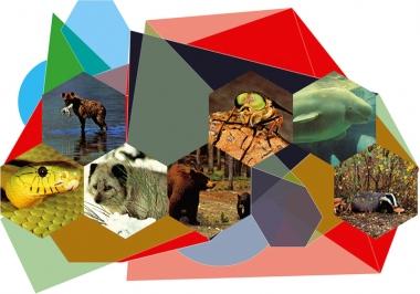 Trout farm – Samir Mougas