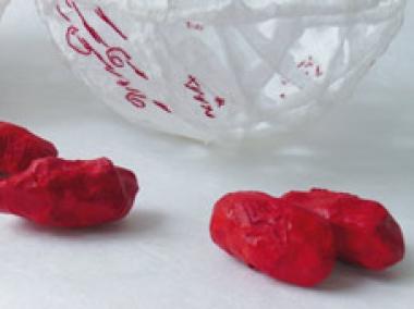 Les Petites Aventures Humaines de Catherine Bernard