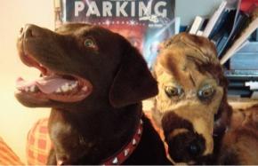 Jonathan Capdevielle et Marlène Saldana - Popydog - CND de Pantin