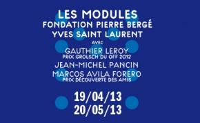 Les_Modules_-_Fondation_Pierre_Berg_-_Yves_Saint_Laurent_-_Palais_de_Tokyo