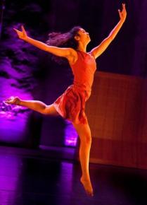 Danse en amateur et répertoire 2013 - Théâtre National de Chaillot