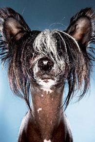 Affreux, bêtes et pédants – Théâtre de Châtillon