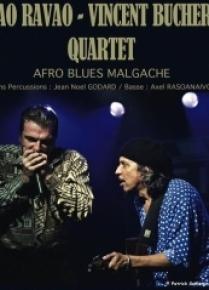 Tao_Ravao__Vincent_Bucher_4tet_en_concert_-_Studio_de_lErmitage