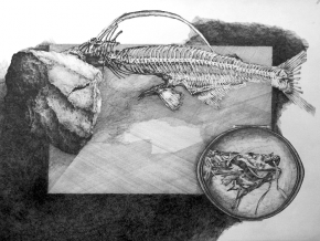 Papiers dessinés – Galerie Da-end