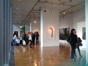 Exposition de Noël Pasquier à la Galerie ART89