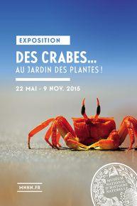 Des crabes au Jardin des Plantes – Museum national d’Histoire naturelle