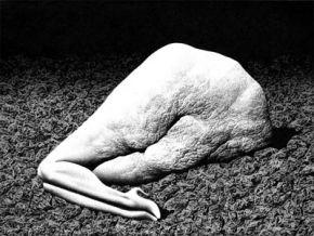 Exposition Nourrir le Monstre - Eric Chevillard - galerie Anne Barrault