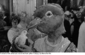 Exposition Humidor - Liz Magor - galerie Marcelle Alix