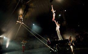 Akoreacro – Le cirque klaxonne fort à La Villette