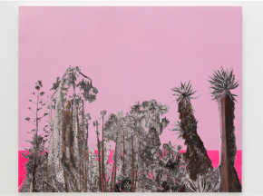 Exposition « Bardo Parade » Whitney Bedford – Galerie Art: Concept