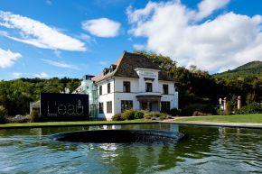 From Here to There - Renaud Auguste-Dormeuil FFS - Steeve Constanty 1