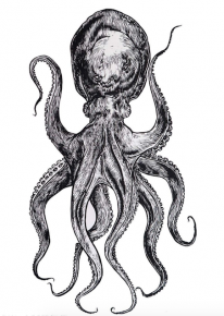 Exposition collective «  Inlandsis » – galerie Graphem