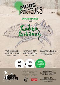 Exposition Murs Porteurs dImaginaires - Codex Urbanus - galerie Ligne 13