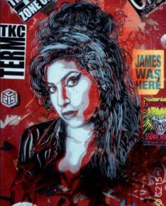 Exposition de C215 - La Mezzanine - Hôtel de Ville de Sèvres