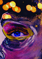 A NOUS LA NUIT 2 - Soiree speciale concerts live DJsets