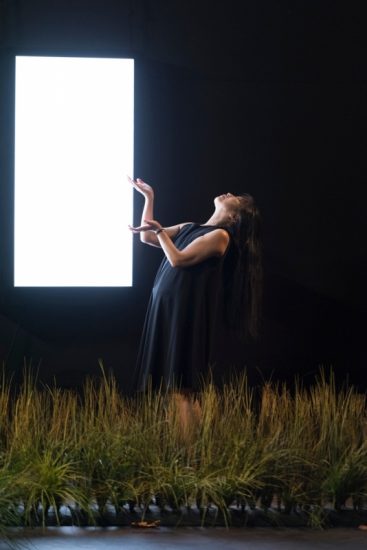 “Amour”, tout un spectacle