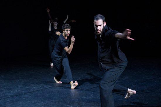 Espace Cardin, Rosas Supreme