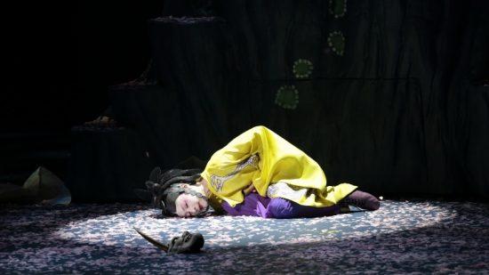 Sous les fleurs de la forêt de cerisiers, le fantastique japonais à Chaillot