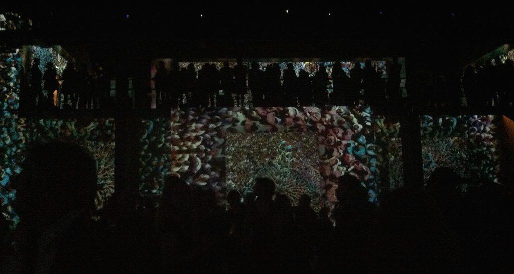 Terra-Magnifica-Yann-Arthus-Bertrand-Atelier-des-Lumières