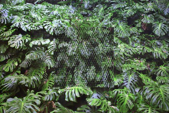 Dans Les Plis du Paysage : Patrick Bock et Bruno Fontana à la Galerie Exit Art Contemporain