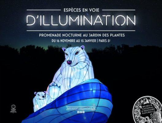 Espèces en voie d’illumination – Jardin des Plantes