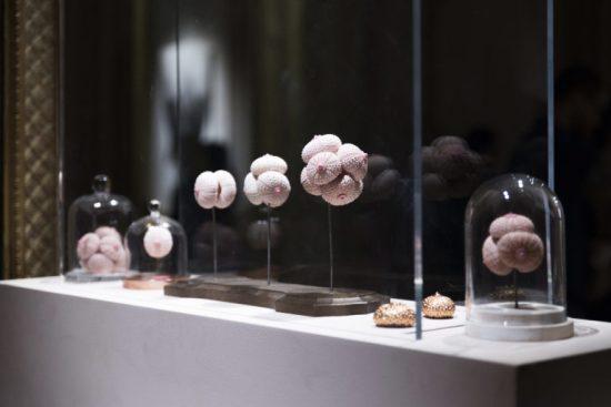 Kévin Bideaux : « Il m’importe de faire entendre des paroles minoritaires »