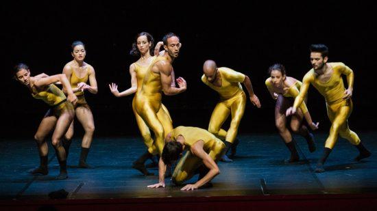 La danse, rien que la danse