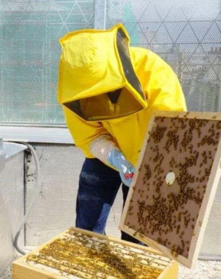 L’ICI et l’association Dardard s’associent pour favoriser la prévention écologique !