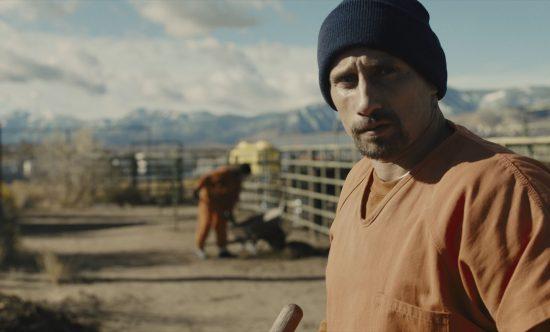 Mes 5 films préférés avec Matthias Schoenaerts