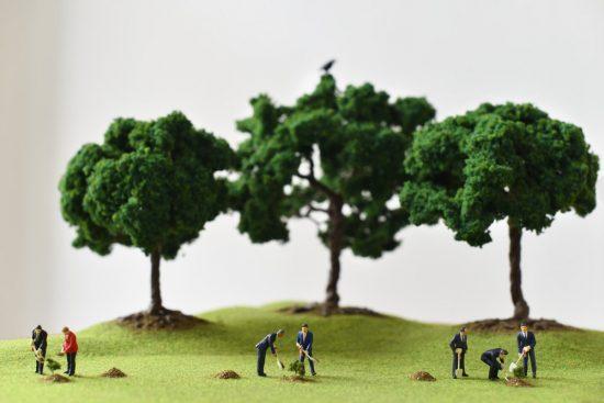 PM 15#1, manifeste pour une création visuelle actuelle au Centre Wallonie-Bruxelles