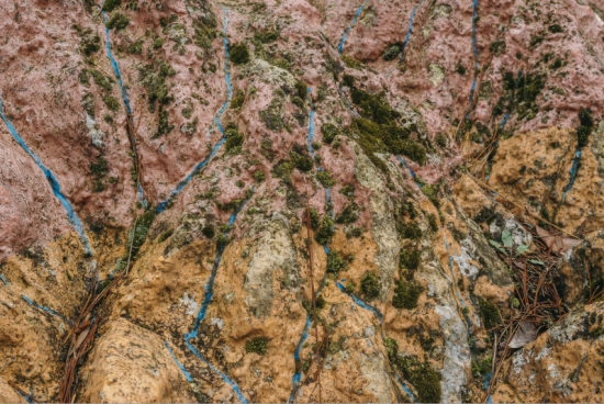 FLAX : une histoire d’amitié entre Los Angeles, La Californie et la France